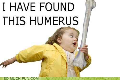 i_have_found_this_humerus_by_josnapemalfoy.jpg